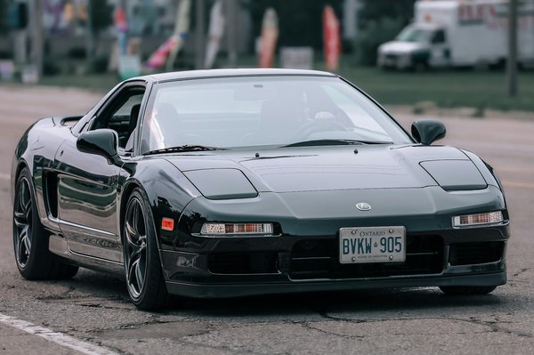 Wie man sich um seine Haustiere kümmert die Sie wissen müssen